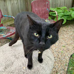 Meet your Posher, Karen